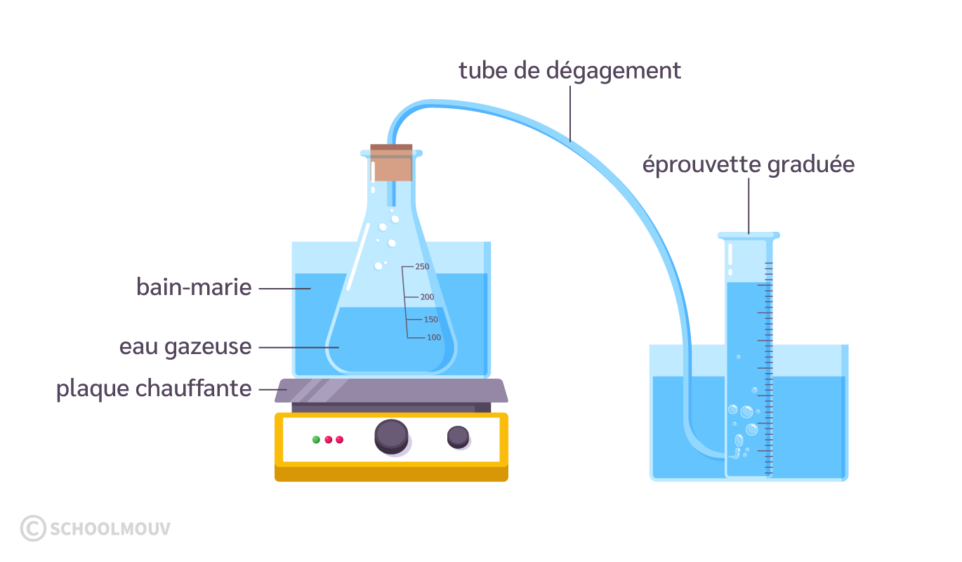 Expérience de dissolution du dioxyde de carbone dans l’eau