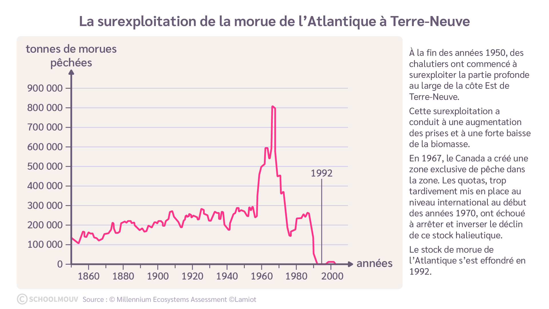 Graphique de la surexploitation de la morue de l'Atlantique à Terre-Neuve - SchoolMouv - géographie - terminale
