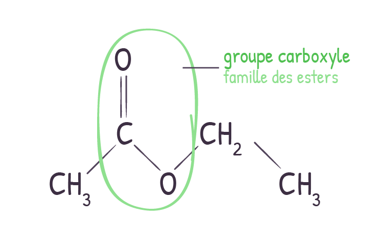 groupe caractéristique famille molécule chimie