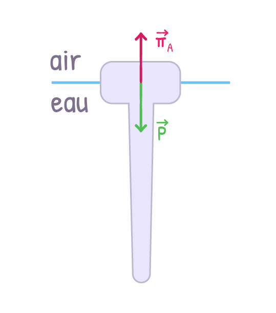 forces opposées physique corrigé bac