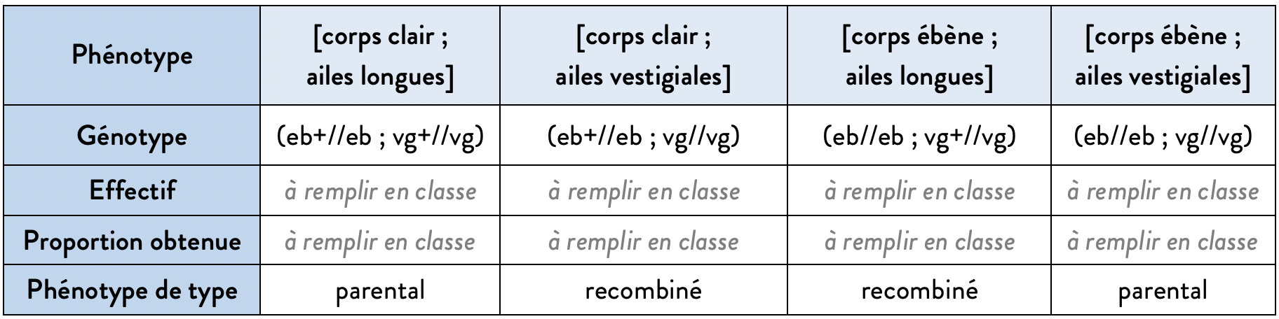 Alt texte