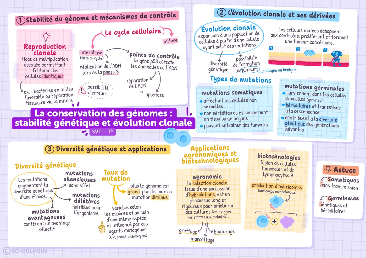 La conservation des génomes : stabilité génétique et évolution clonale 