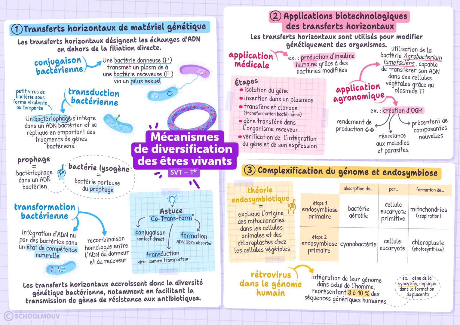 Mécanismes de diversification des êtres vivants