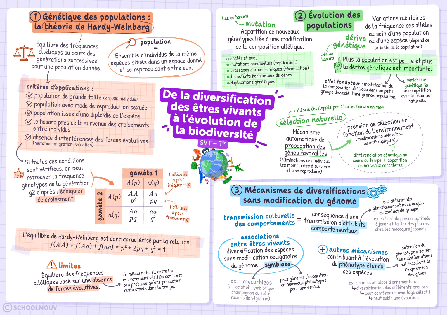De la diversification des êtres vivants à l’évolution de la biodiversité