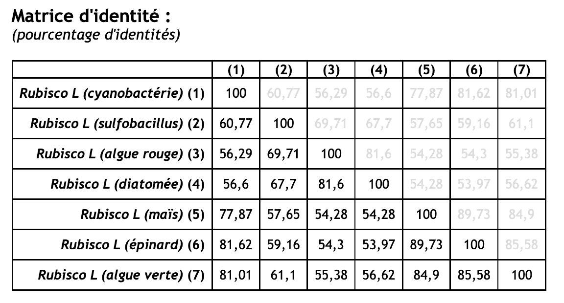 Alt texte