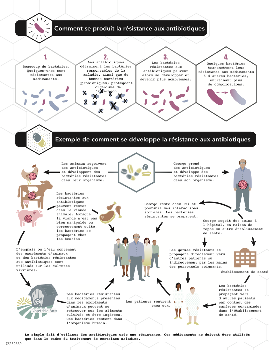 Le phénomène d’antibiorésistance