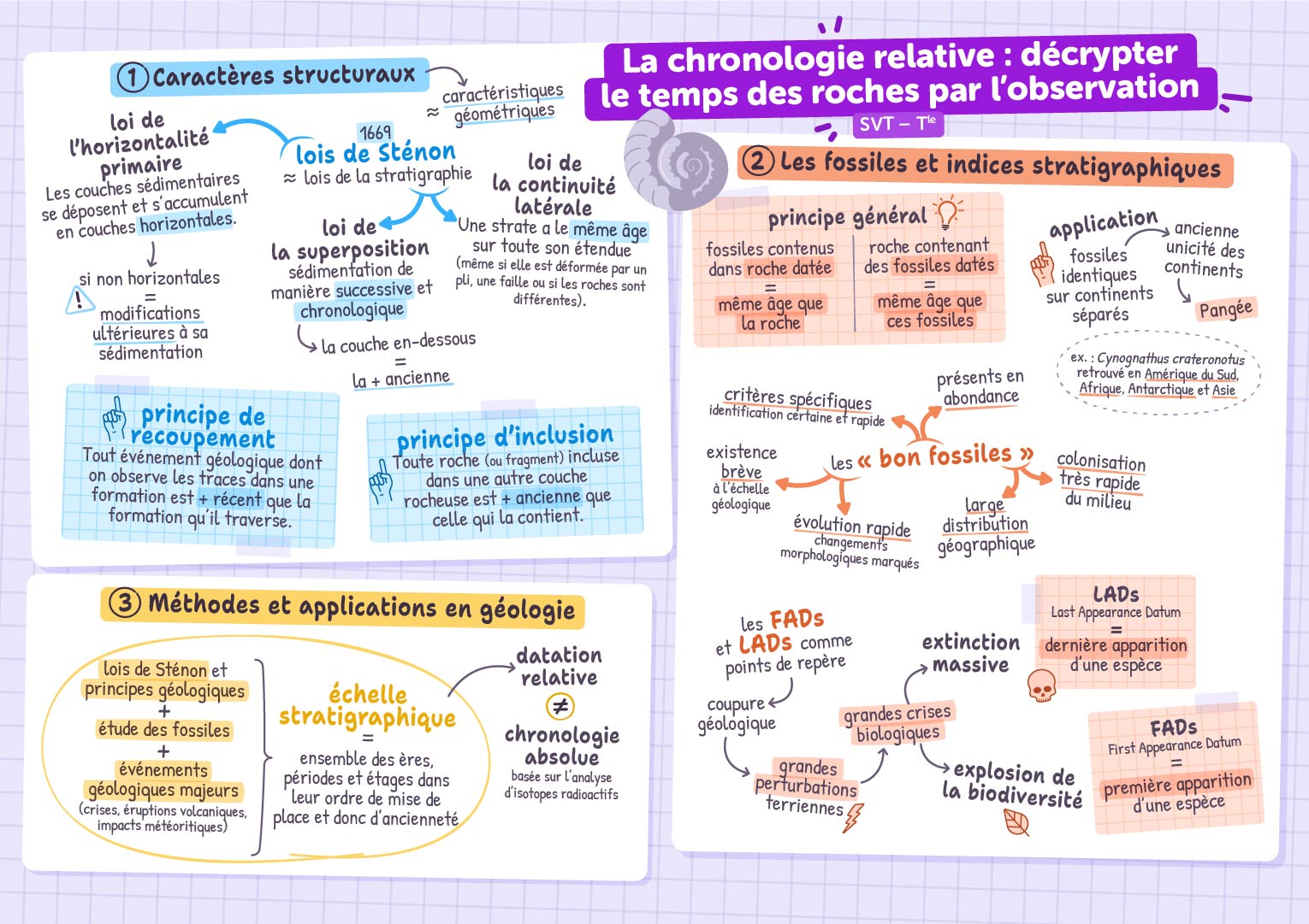La chronologie relative : décrypter le temps des roches par l’observation