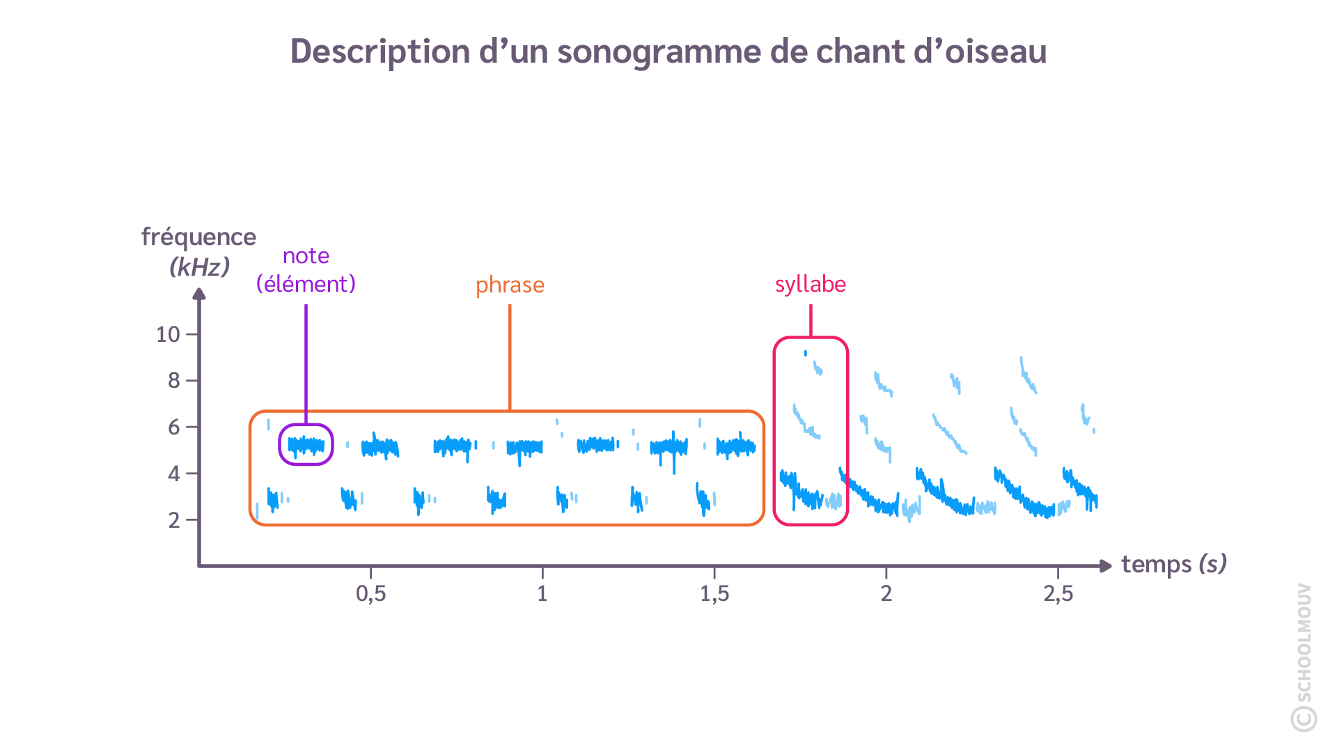 Un chant d’oiseau peut s’étudier à l’aide d’un sonogramme.