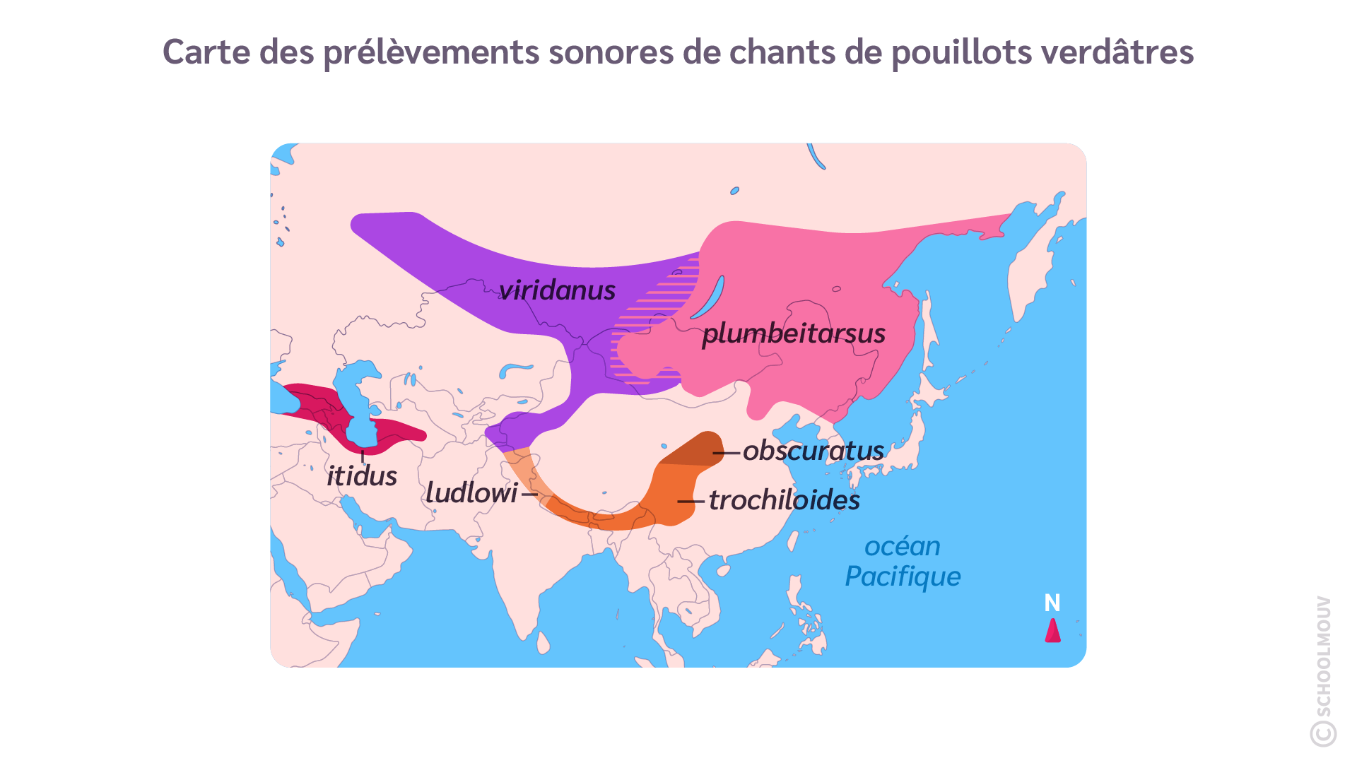 carte des prélèvements sonores de chants de pouillots verdâtres