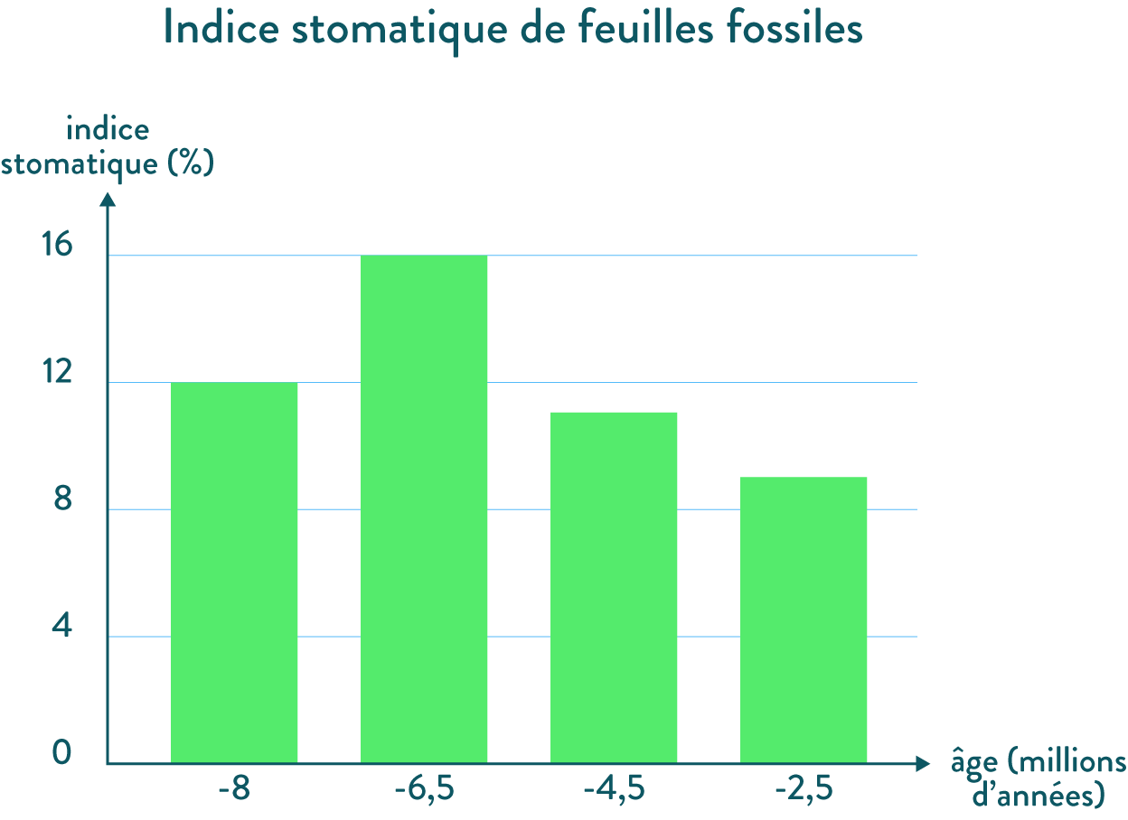 Indices stomatiques de feuilles de fossiles en fonction du temps
