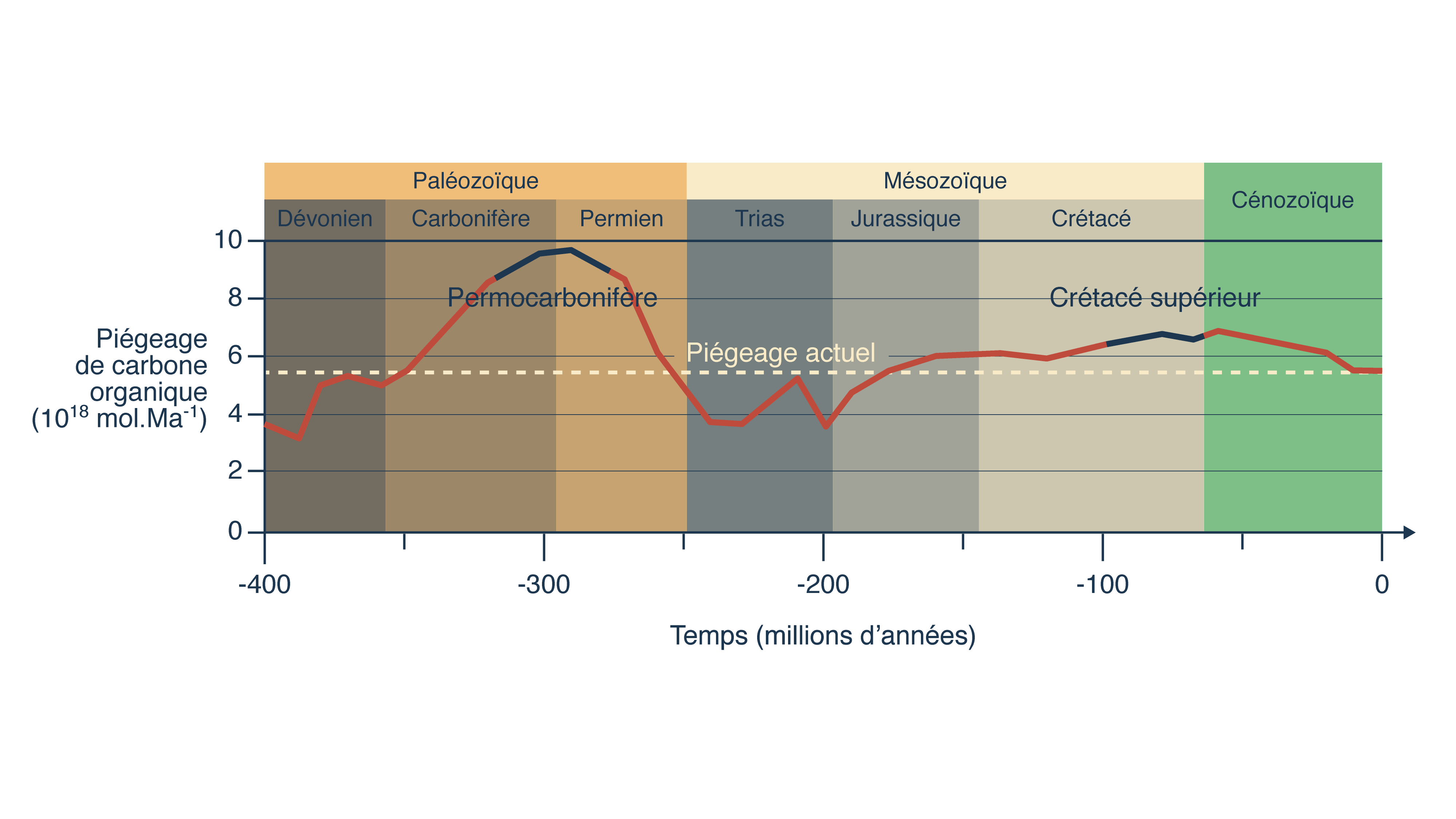Piégeage du carbone par fossilisation en fonction du temps