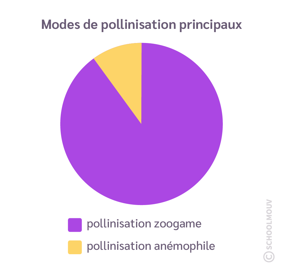 Mode de pollinisation principaux
