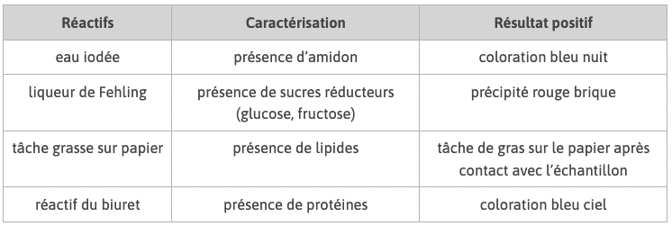 Alt texte
