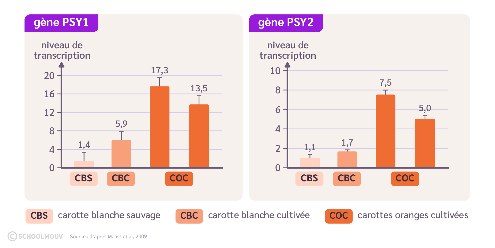 Taux d’expression des gènes codant pour la synthèse de l’enzyme PSY