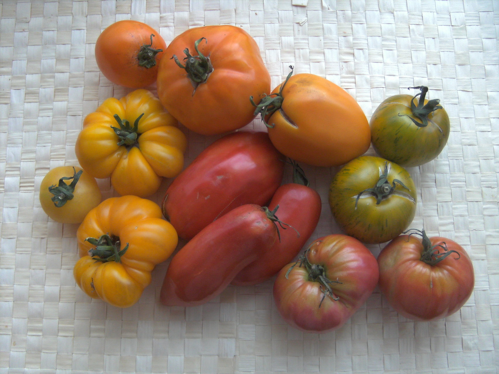 Plusieurs variétés de tomates