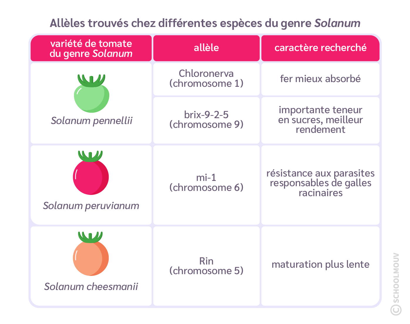 allèles trouvé chez différentes espèces du genre Solanum