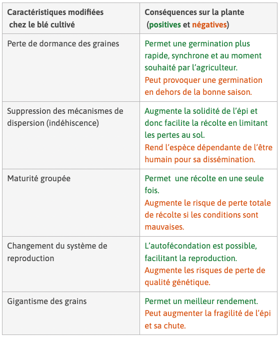 Alt texte