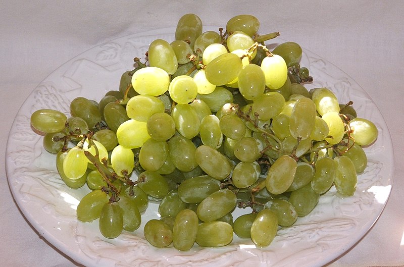 raisins apyrènes