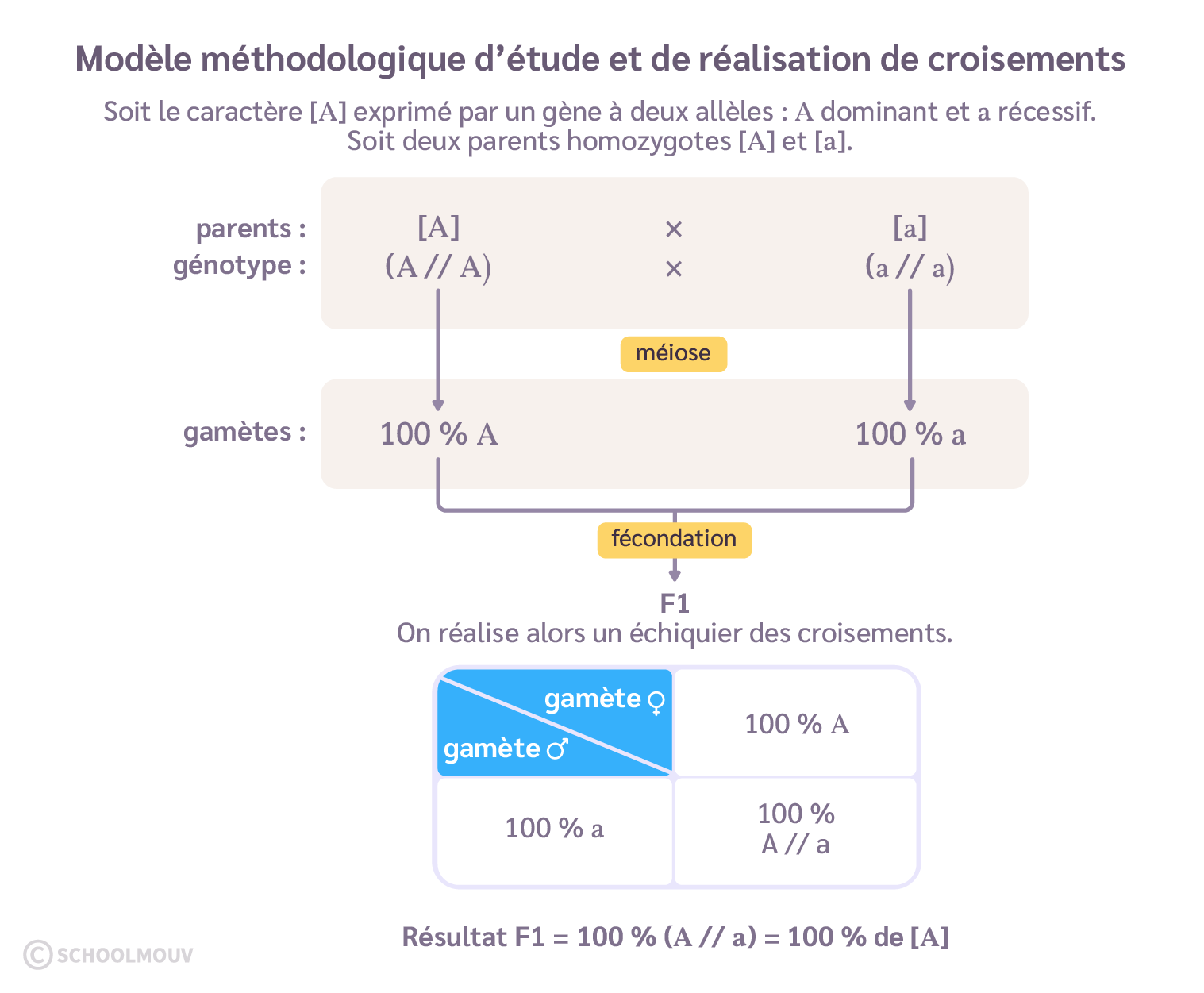 Rappel des conventions de réalisation d’un croisement génétique