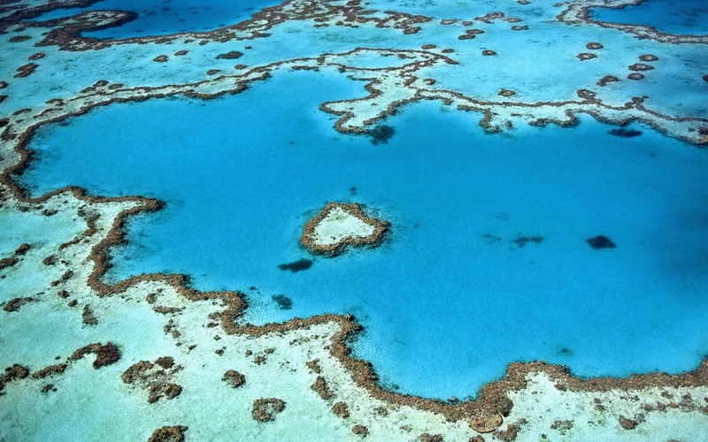Les coraux sont des animaux coloniaux formant, en s’accumulant, des barrières calcaires autour des atolls.