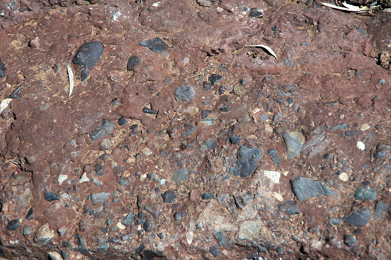 Tillite dans le Précambrien de l’Australie du Sud