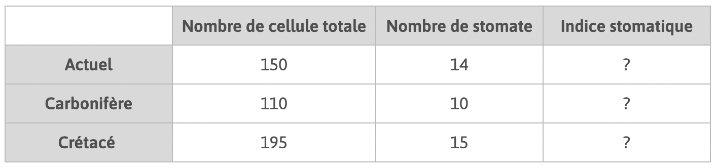 Alt texte