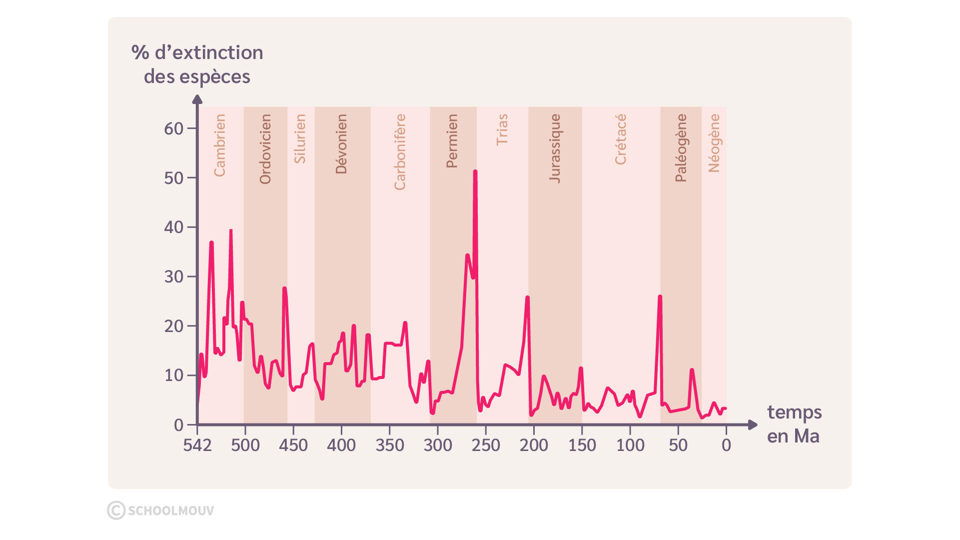 Variation du taux d’extinction des espèces au cours des temps géologiques