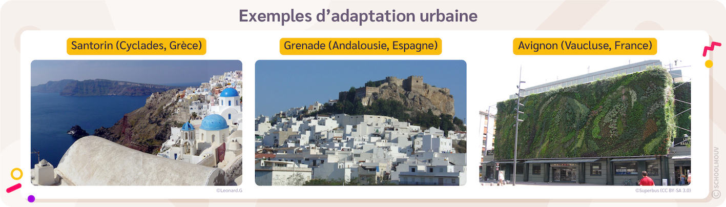 Projets architecturaux d'atténuation de la chaleur urbaine
